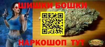 крисы Лесной