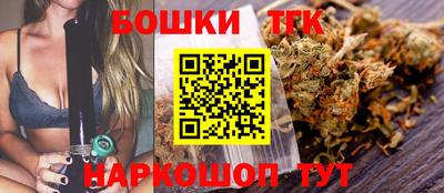 крисы Лесной