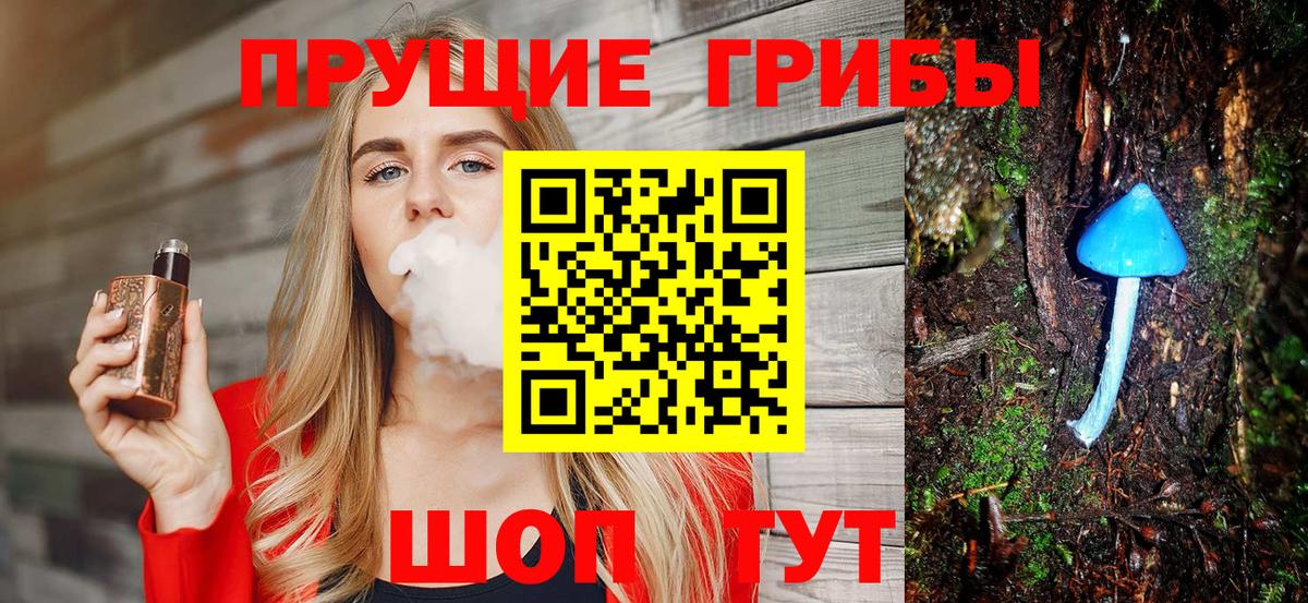 Галлюциногенные грибы MAGIC MUSHROOMS  Вход с VPN  Энгельс 